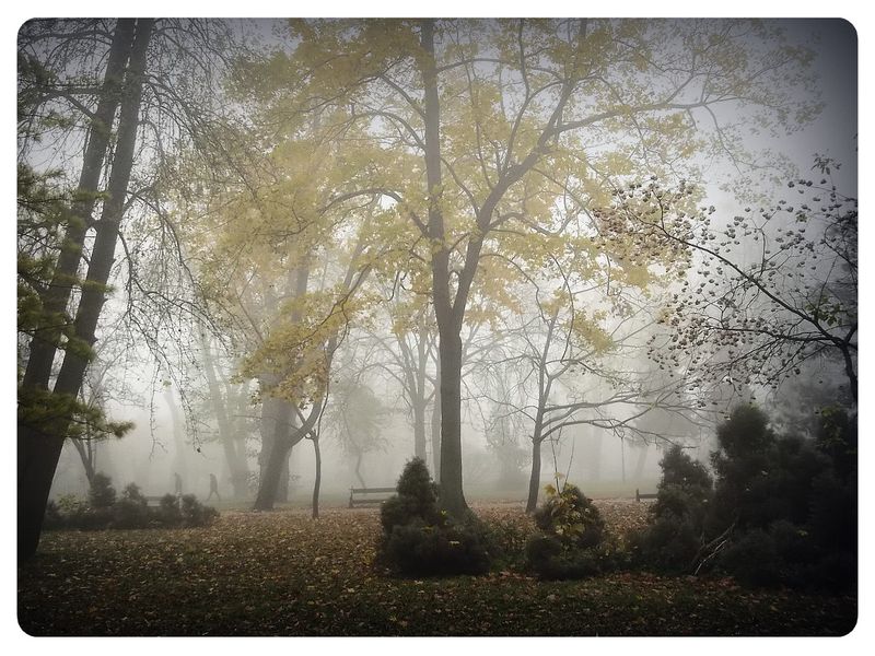 © Andrei  Kolyaskin - Image from the Foggy  morning  in  Ivano - Frankivsk  City photography project
