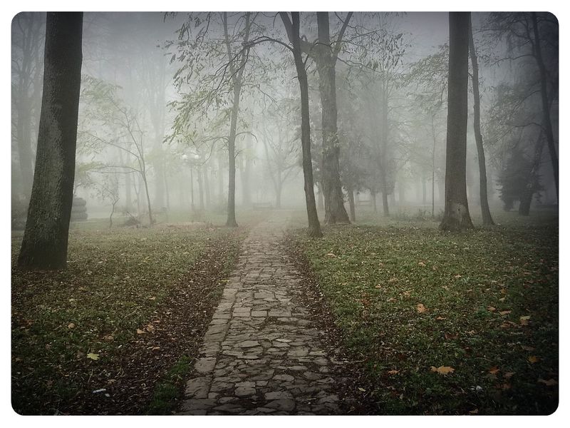© Andrei  Kolyaskin - Foggy  autumn  morning  on  the  Memorial  Square  of  Ivano - Frankivsk  City , Ukraine .