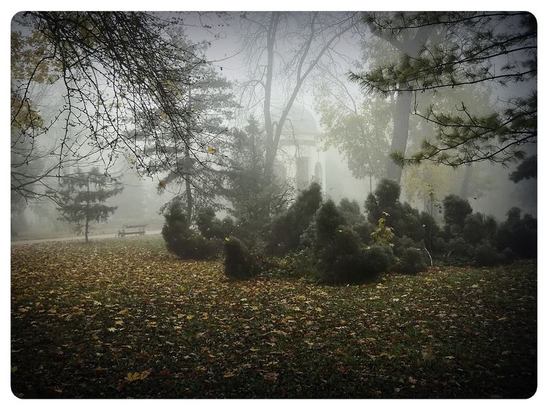 © Andrei  Kolyaskin - Foggy  autumn  morning  on  the  Memorial  Square  of  Ivano - Frankivsk  City , Ukraine .