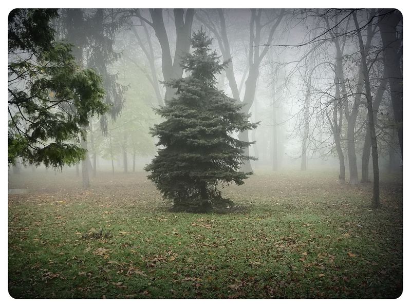 © Andrei  Kolyaskin - Foggy  autumn  morning  on  the  Memorial  Square  of  Ivano - Frankivsk  City , Ukraine .
