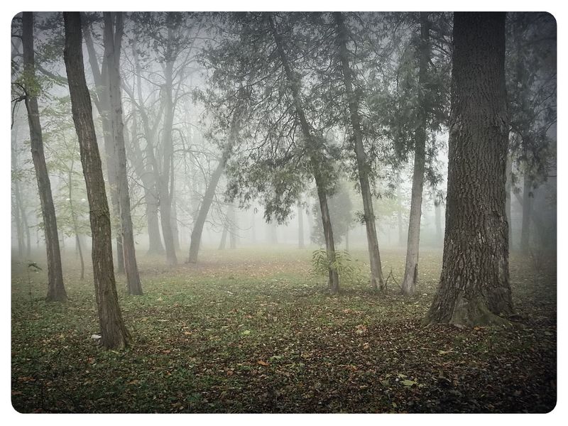 © Andrei  Kolyaskin - Foggy  autumn  morning  on  the  Memorial  Square  of  Ivano - Frankivsk  City , Ukraine .