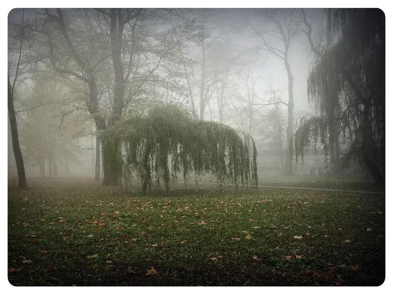 © Andrei  Kolyaskin - Foggy  autumn  morning  on  the  Memorial  Square  of  Ivano - Frankivsk  City , Ukraine .