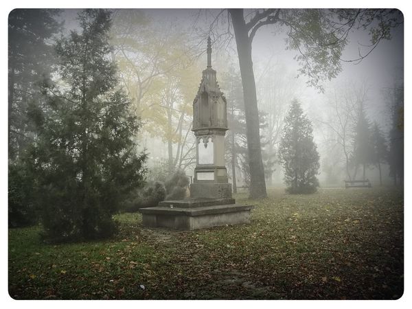 © Andrei  Kolyaskin - Image from the Foggy  morning  in  Ivano - Frankivsk  City photography project