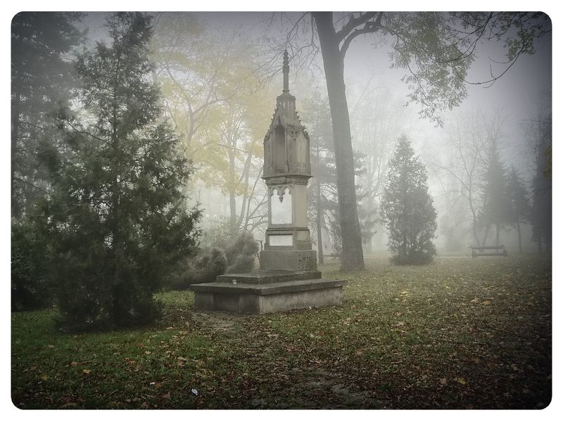 © Andrei  Kolyaskin - Image from the Foggy  morning  in  Ivano - Frankivsk  City photography project