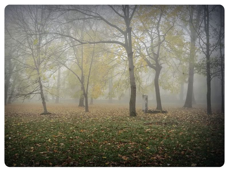 © Andrei  Kolyaskin - Image from the Foggy  morning  in  Ivano - Frankivsk  City photography project