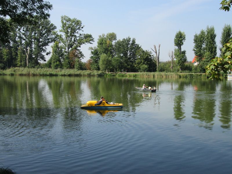 © Andrei  Kolyaskin - On  the  City  Lake  of  Ivano - Frankivsk  City , Ukraine .