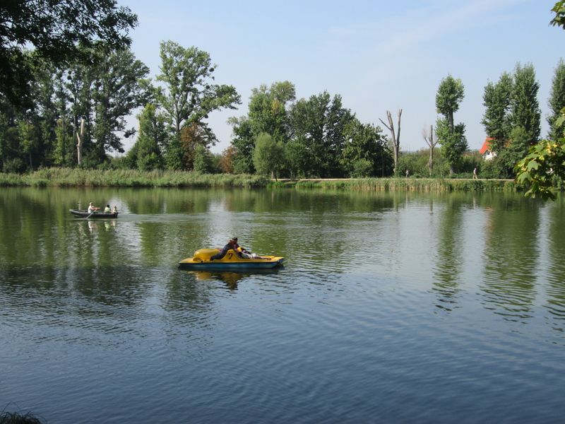 © Andrei  Kolyaskin - On  the  City  Lake  of  Ivano - Frankivsk  City , Ukraine .