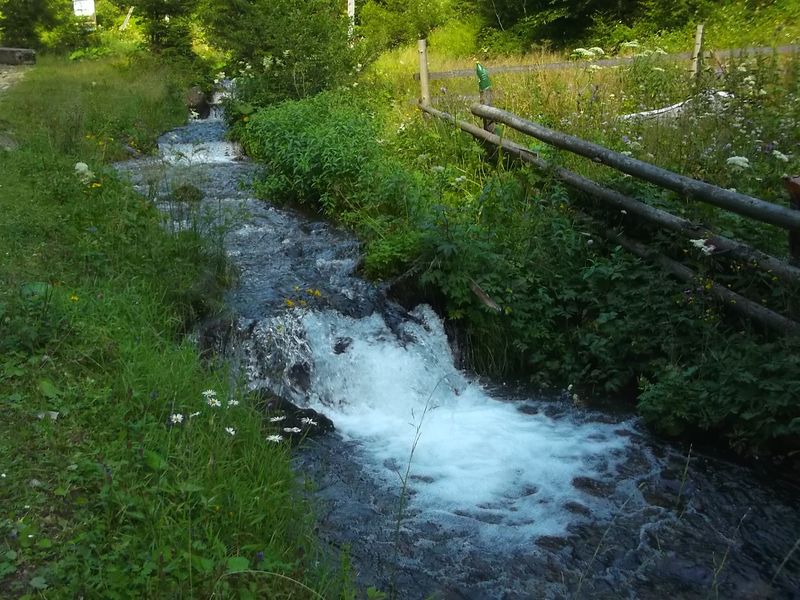 © Andrei  Kolyaskin - Mountain  river  in village Synevir of Mezhygirya area of Zacarpatian region , Ukraine .