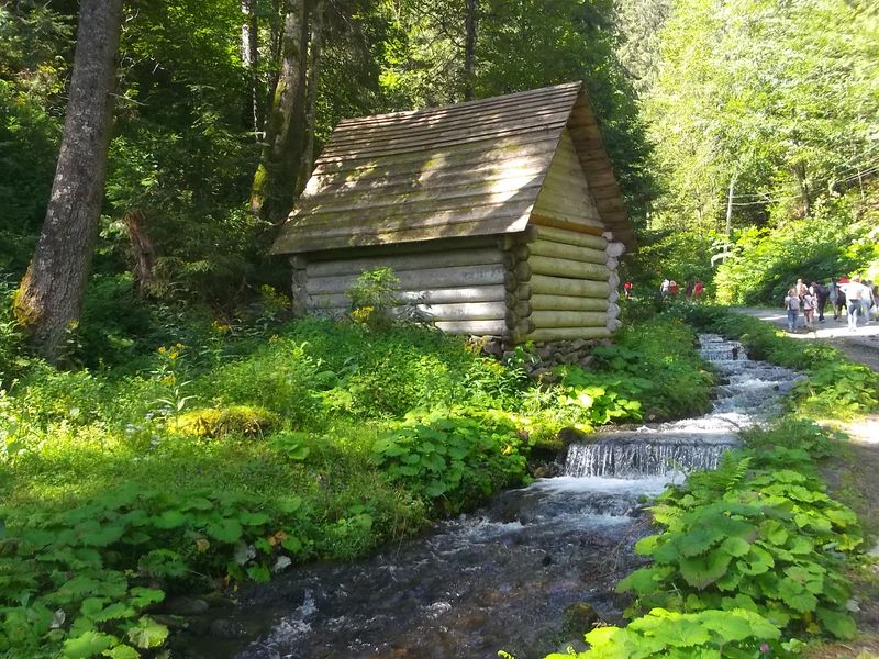 © Andrei  Kolyaskin - Mountain  river  in village Synevir of Mezhygirya area of Zacarpatian region , Ukraine .
