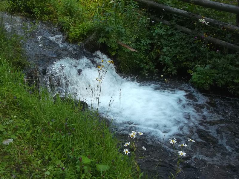 © Andrei  Kolyaskin - Mountain  river  in village Synevir of Mezhygirya area of Zacarpatian region , Ukraine .