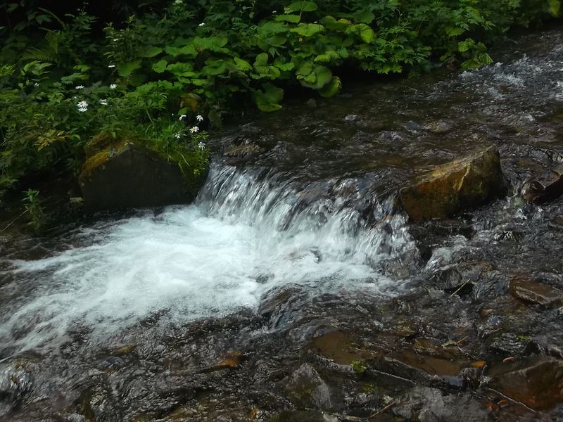 © Andrei  Kolyaskin - Mountain  river  in village Synevir of Mezhygirya area of Zacarpatian region , Ukraine .