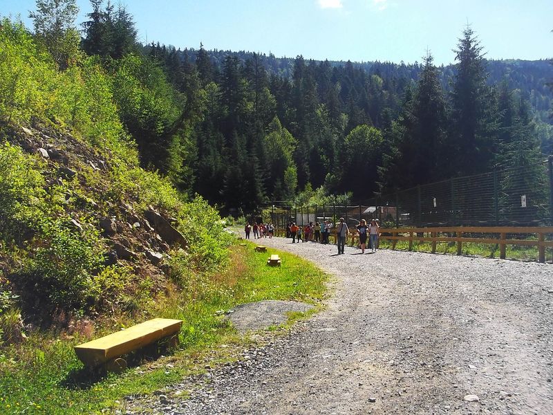 © Andrei  Kolyaskin - Brown bear rehabilitation center in village Synevir of Mezhygirya area of Zacarpatian region , Ukraine .