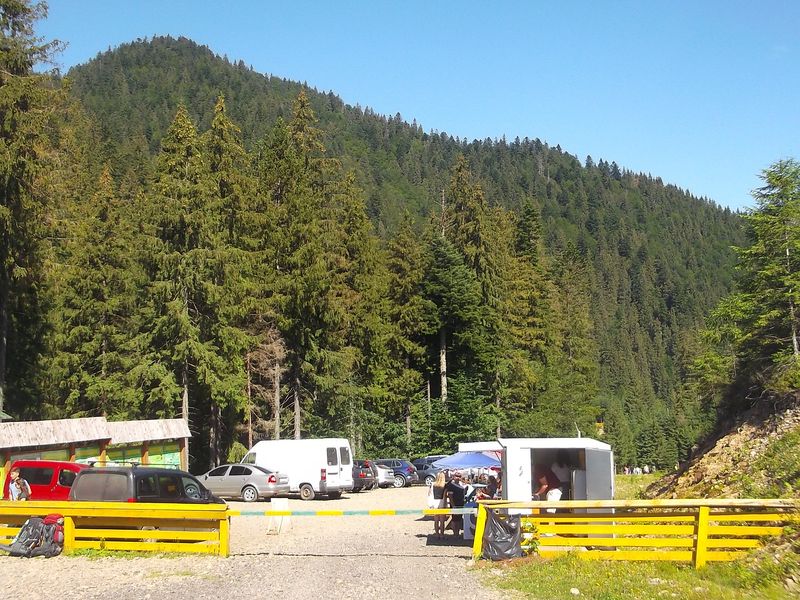 © Andrei  Kolyaskin - Brown bear rehabilitation center in village Synevir of Mezhygirya area of Zacarpatian region , Ukraine .