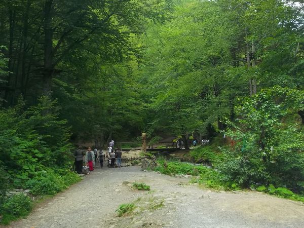 © Andrei  Kolyaskin - On  the  territory  of  waterfalls Shypit in village Pylypets of Mezhygirya area Zacarpatian region , Ukraine .