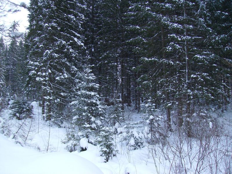 © Andrei  Kolyaskin - Image from the Bukovel  2 photography project