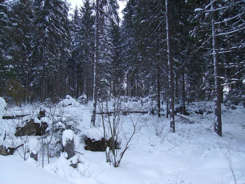 © Andrei  Kolyaskin - Image from the Bukovel  2 photography project