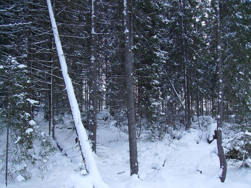 © Andrei  Kolyaskin - Image from the Bukovel  2 photography project