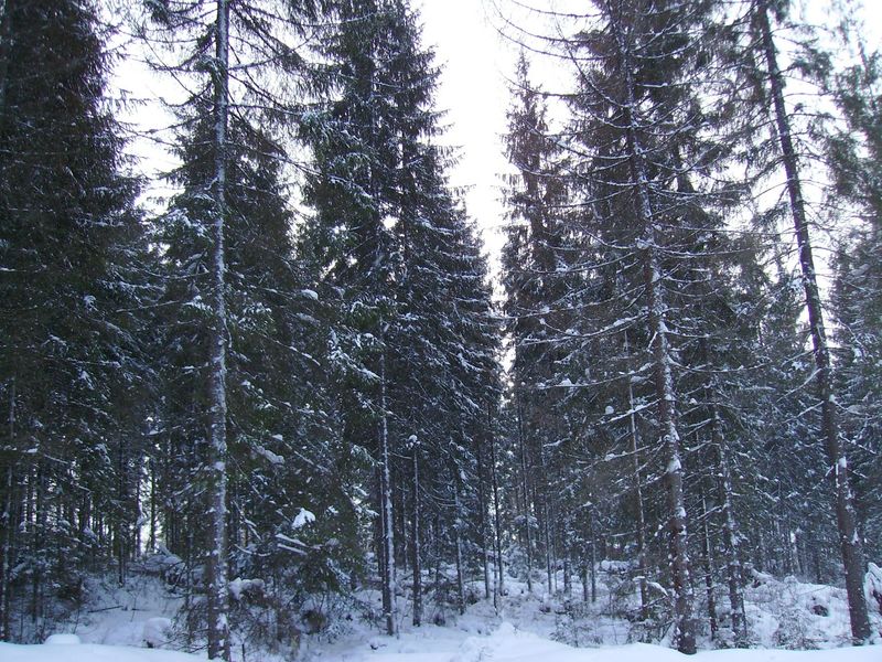 © Andrei  Kolyaskin - Image from the Bukovel  2 photography project