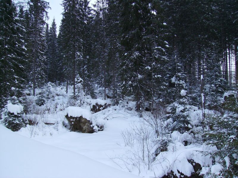 © Andrei  Kolyaskin - Image from the Bukovel  2 photography project