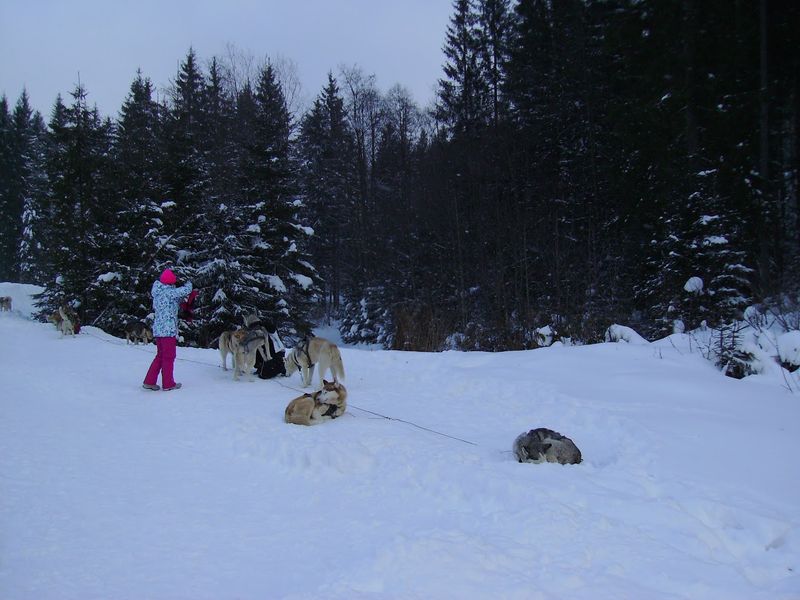 © Andrei  Kolyaskin - Image from the Bukovel photography project