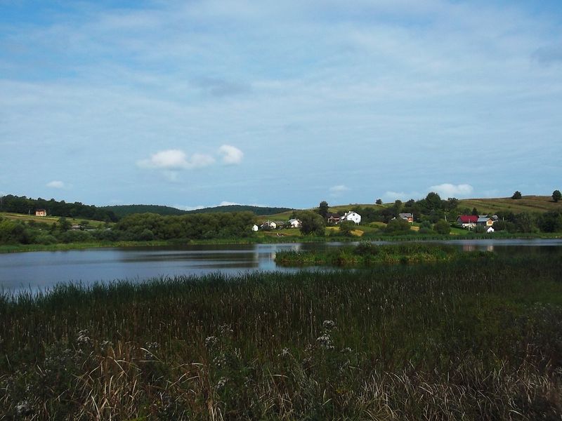 © Andrei  Kolyaskin - Lake  near  Svirzh  Castle  from  15th  century  in  village  Svirzh  of  Lviv  region , Ukraine .