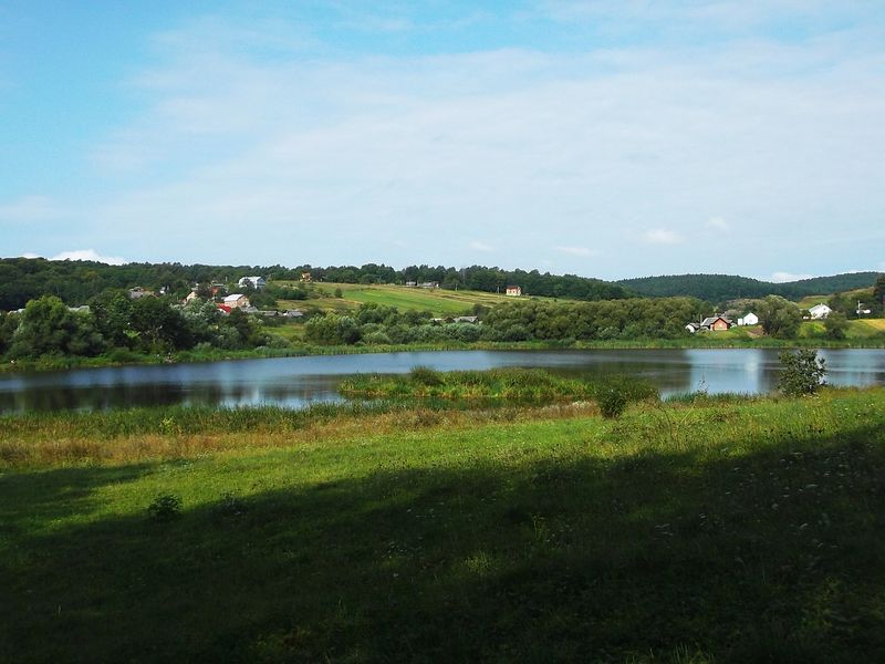 © Andrei  Kolyaskin - Lake  near  Svirzh  Castle  from  15th  century  in  village  Svirzh  of  Lviv  region , Ukraine .
