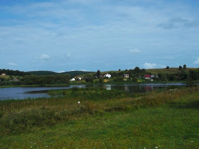 © Andrei  Kolyaskin - Lake  near  Svirzh  Castle  from  15th  century  in  village  Svirzh  of  Lviv  region , Ukraine .