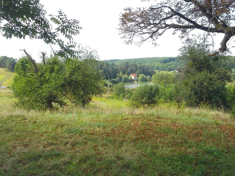 © Andrei  Kolyaskin - On  the  territory  of  Svirzh  Castle  from  15th  century  in  village  Svirzh  of  Lviv  region , Ukraine .