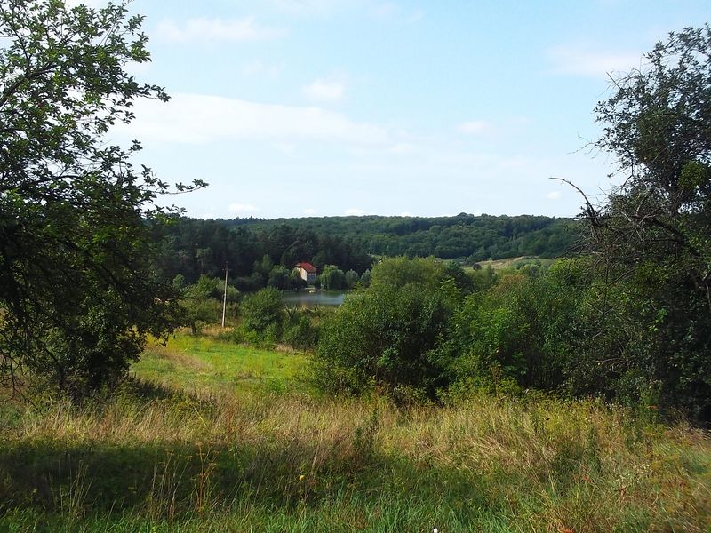 © Andrei  Kolyaskin - On  the  territory  of  Svirzh  Castle  from  15th  century  in  village  Svirzh  of  Lviv  region , Ukraine .