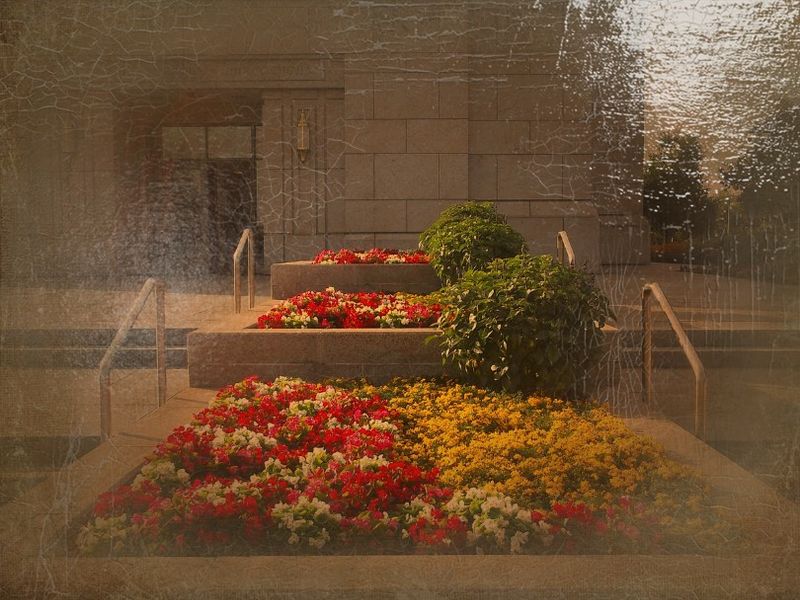 © Andrei  Kolyaskin - Image from the Ukrainian  Kyiv  Temple  in  oil  painting  5 photography project