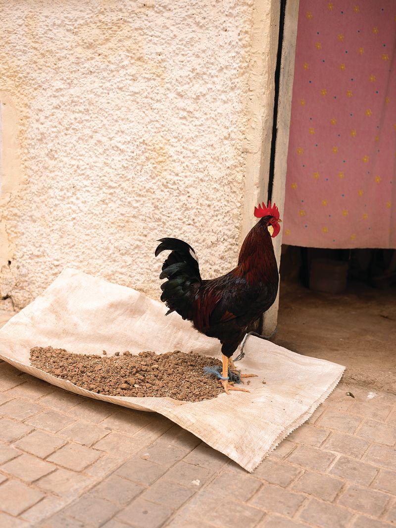 © MAryam Touzani - Image from the Maktub photography project