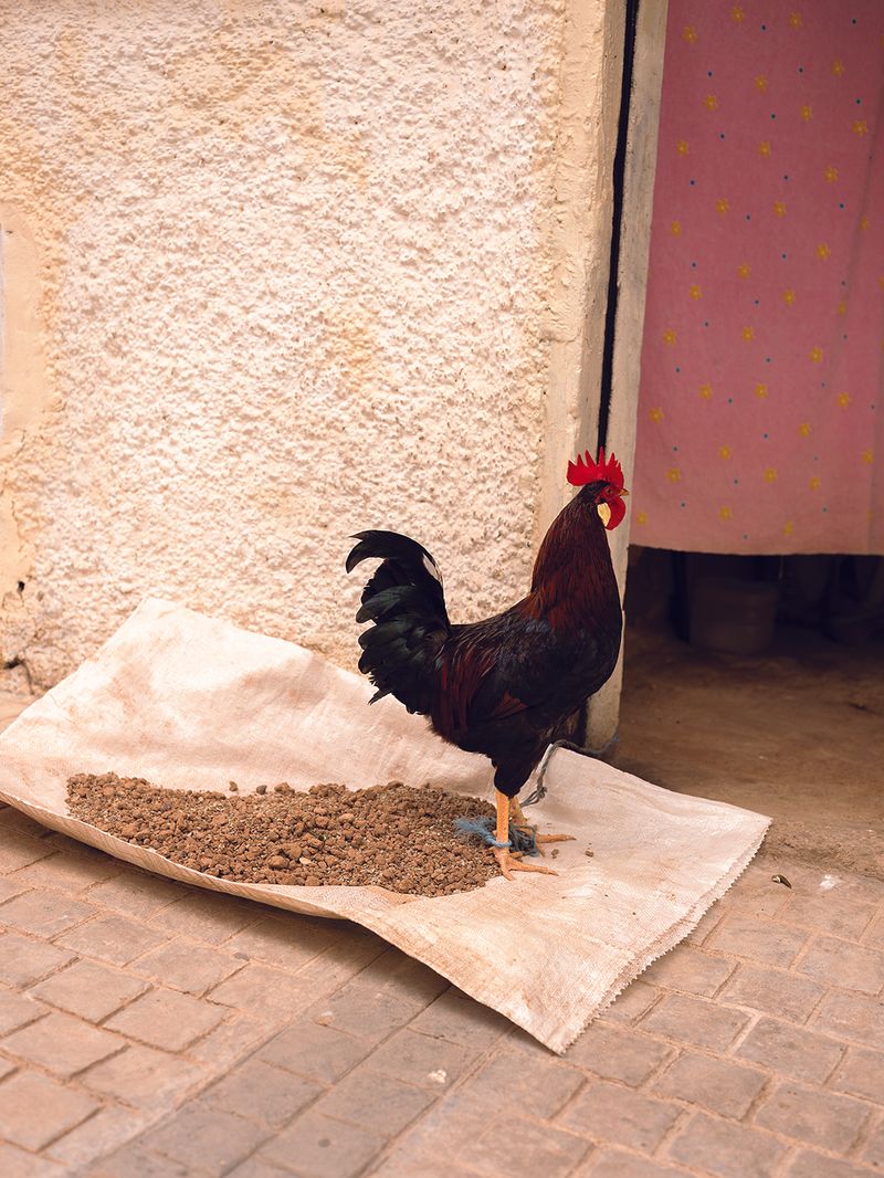 © MAryam Touzani - Image from the Maktub photography project