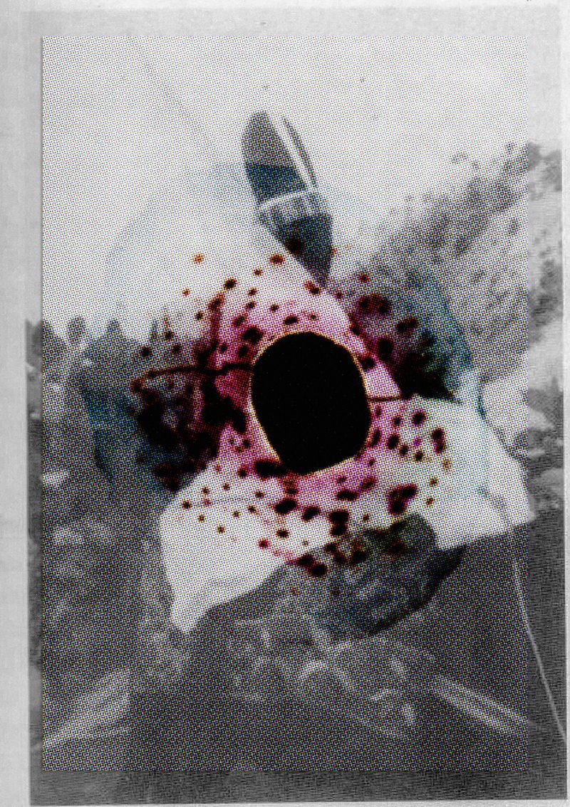 © MAryam Touzani - Image from the How to Tame a Wild Tongue photography project