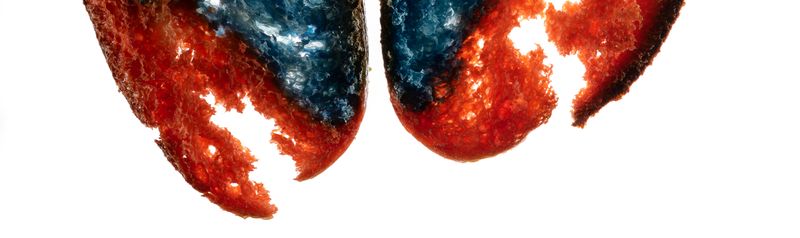 © Prajwal Zarkar - Image from the New Universe photography project