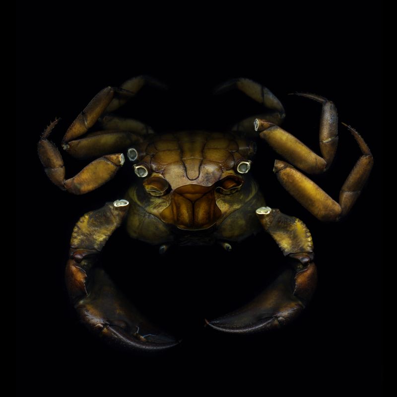 © Prajwal Zarkar - Image from the New Universe photography project