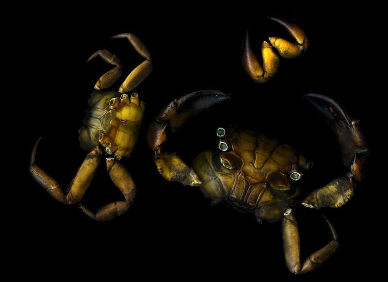 © Prajwal Zarkar - Image from the New Universe photography project