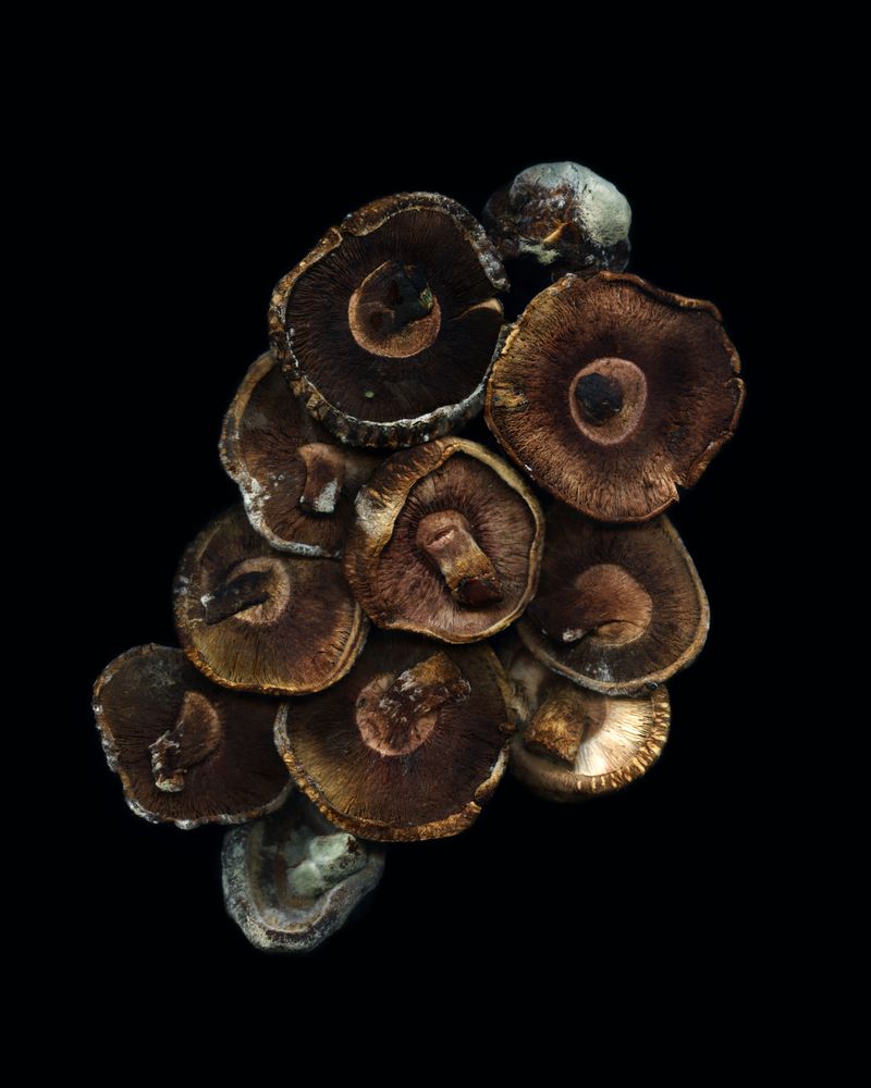 © Prajwal Zarkar - Image from the New Universe photography project