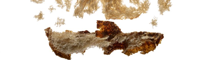 © Prajwal Zarkar - Image from the New Universe photography project