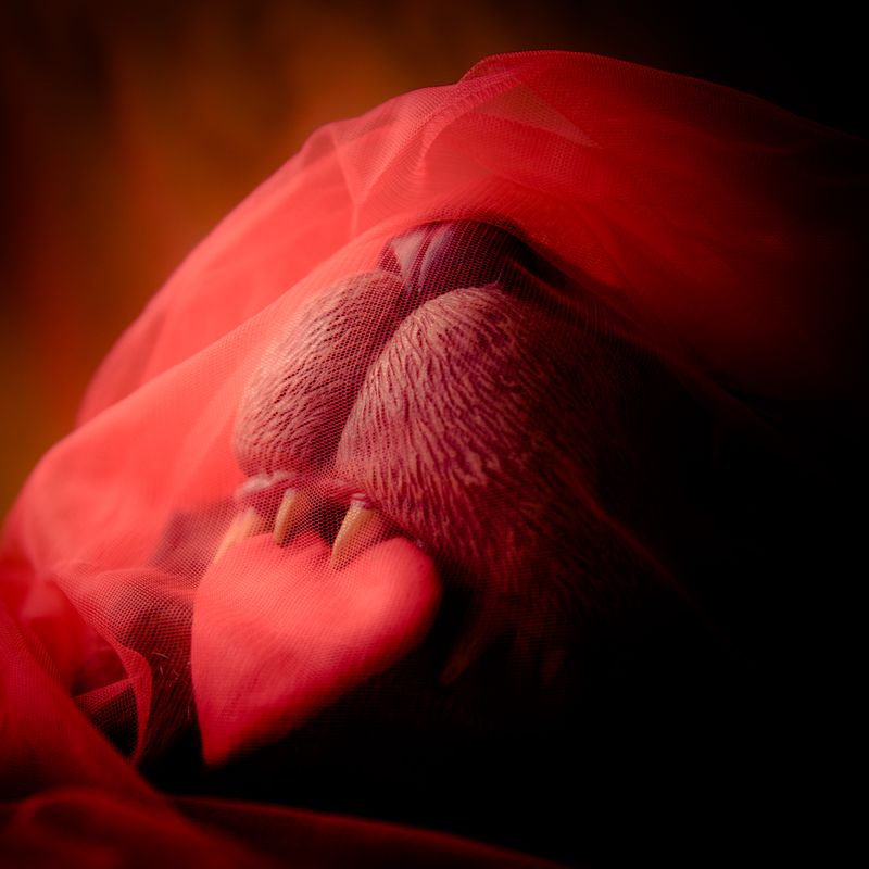 © Chiara Ceolin - Image from the The House on the Moon photography project