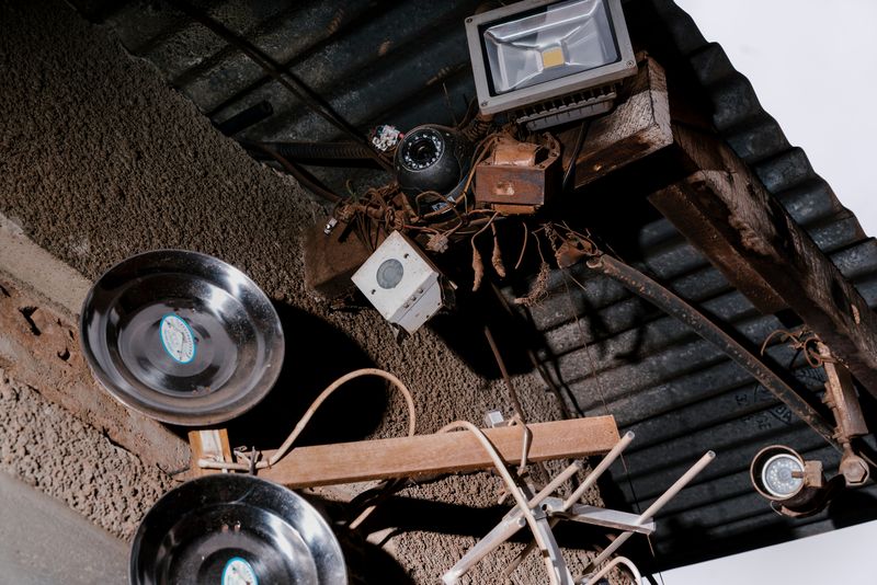 © Jake Naughton - Image from the This is How The Heart BeaTs photography project