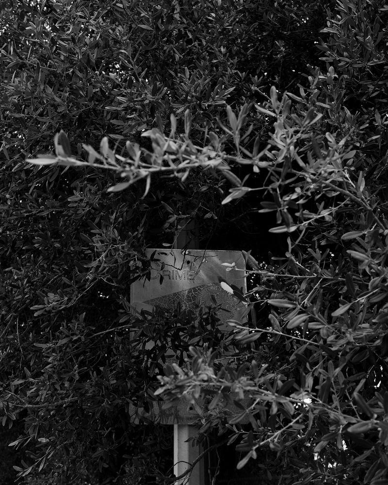 © André Ramos-Woodard - Untitled (stereotype), 2023