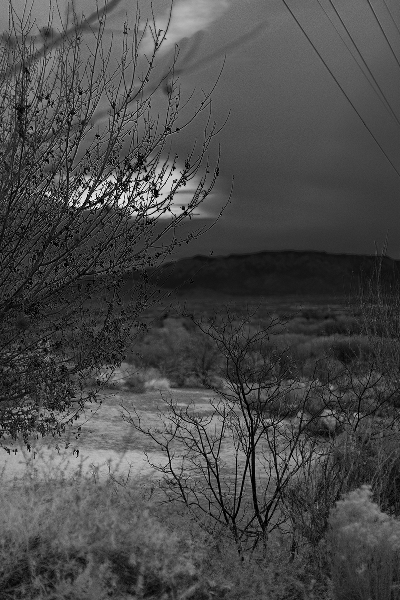 © André Ramos-Woodard - Untitled (Do you have a plan?), 2021