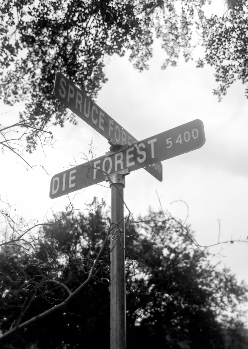 © André Ramos-Woodard - WHERE I STAY AT, 2023