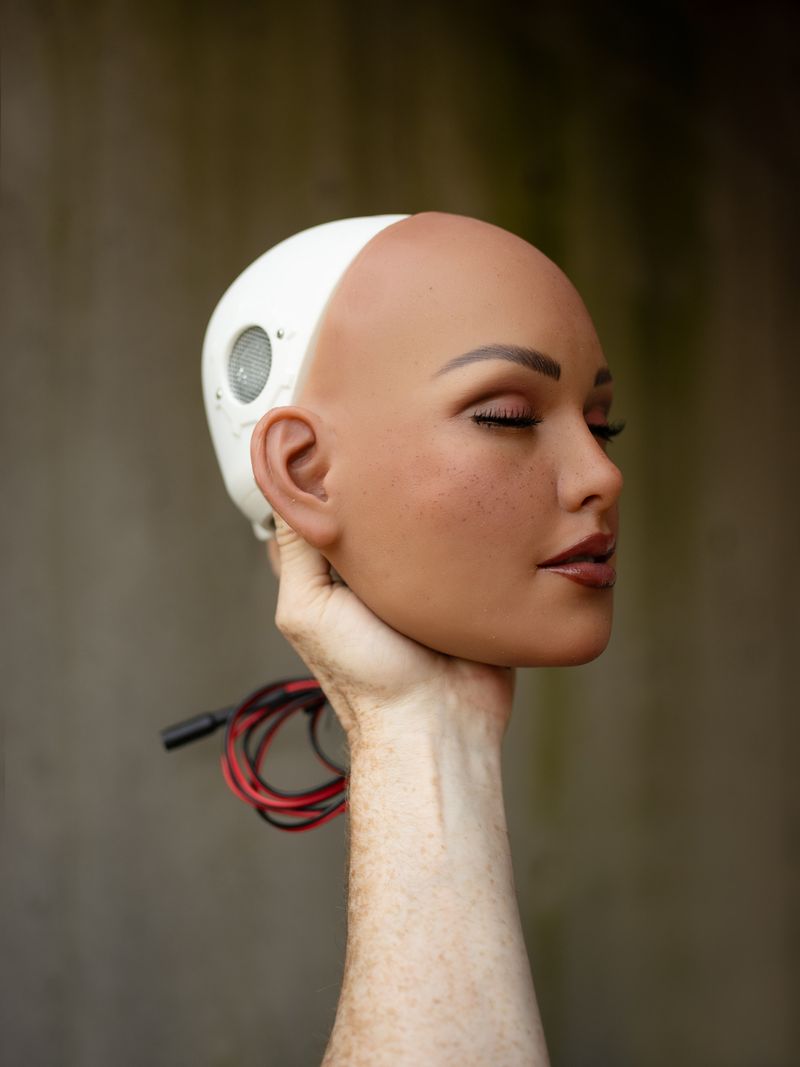 © Kris Davidson - Head of an animatronic robot.