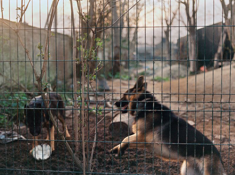 © Laura Dunwoody - Image from the Nothing Lasts Forever - Youth of Ballymun photography project