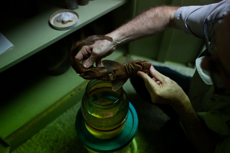 © Jose Menendez - Image from the ¿Y donde esta la tierra? (and where did the earth go?) photography project