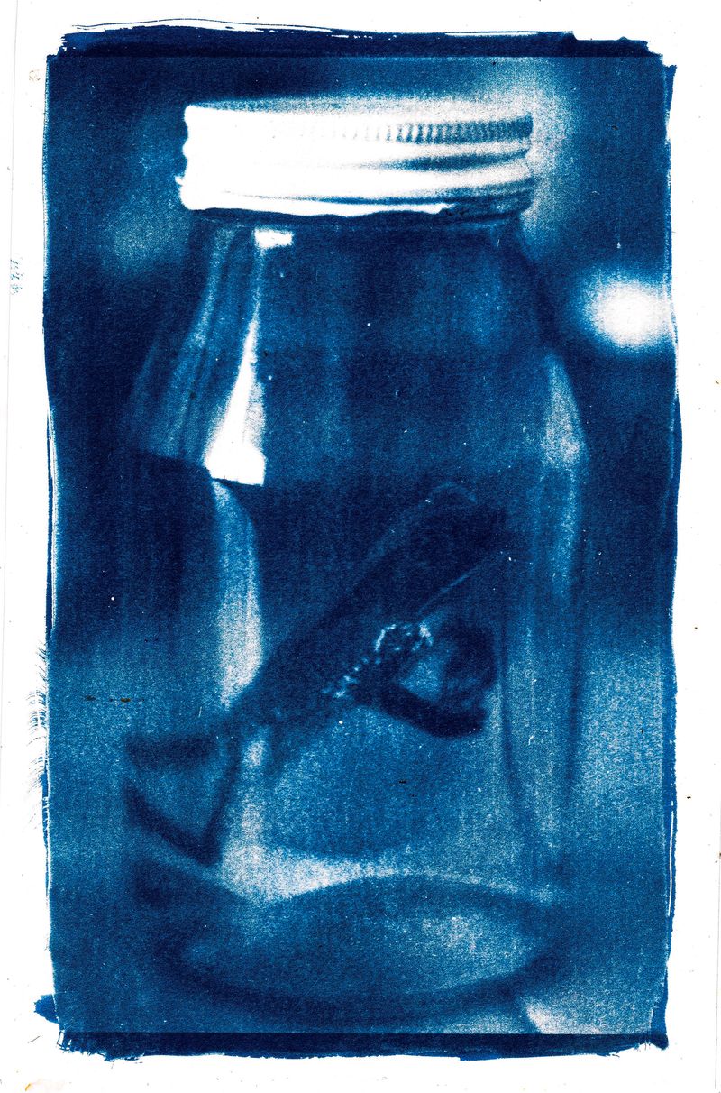 © Jose Menendez - Cyanotype from preserved specimen, studio process, 2023