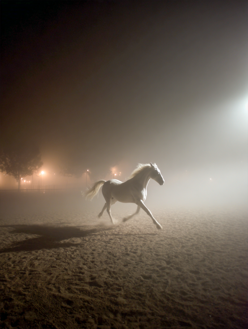 © Yuan tian - Image from the Every Path Finds Its Flow photography project