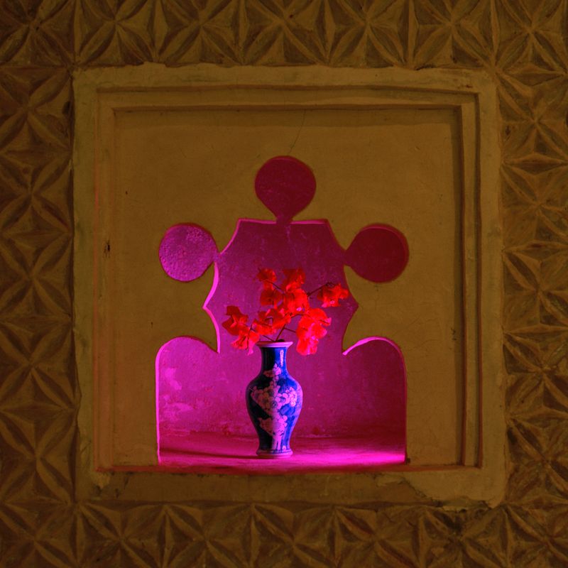 © Eman Ali - Uwa (Blossoming Flower), 2019 100cm x 100cm - Framed Fine Art Archival Pigment print on Hahnemühle Pearl