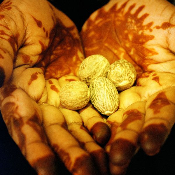 © Eman Ali - Kungumanga, 2019 30cm x 30cm - Framed Fine Art Archival Pigment print on Hahnemühle Pearl